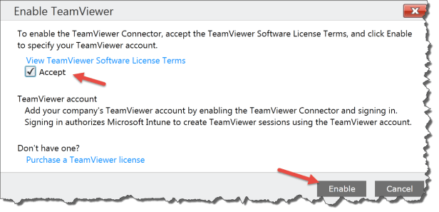 Intune Team Viewer 02
