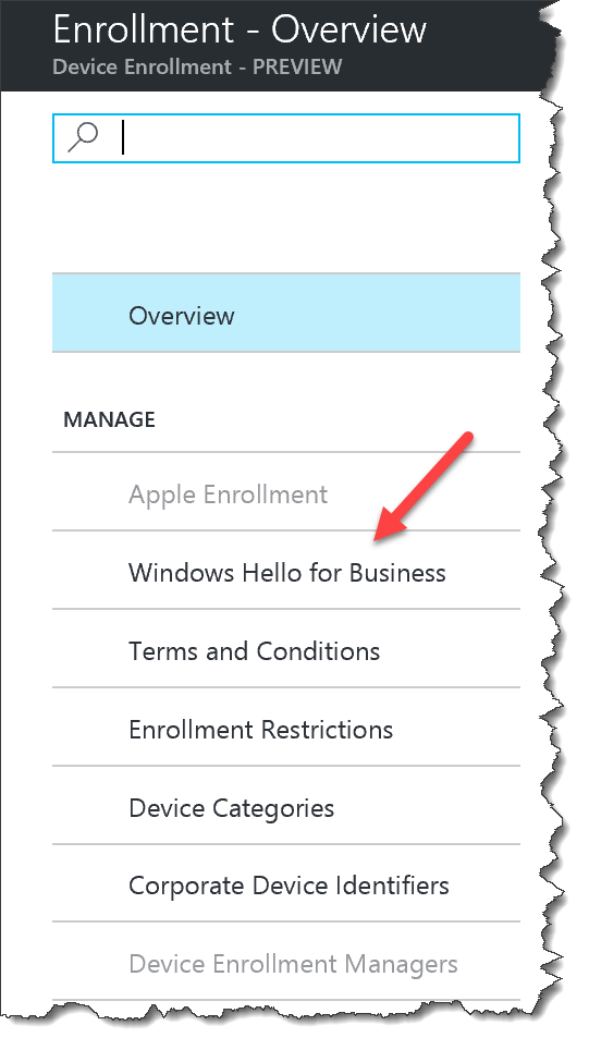 Intune - Windows Hallo - 02