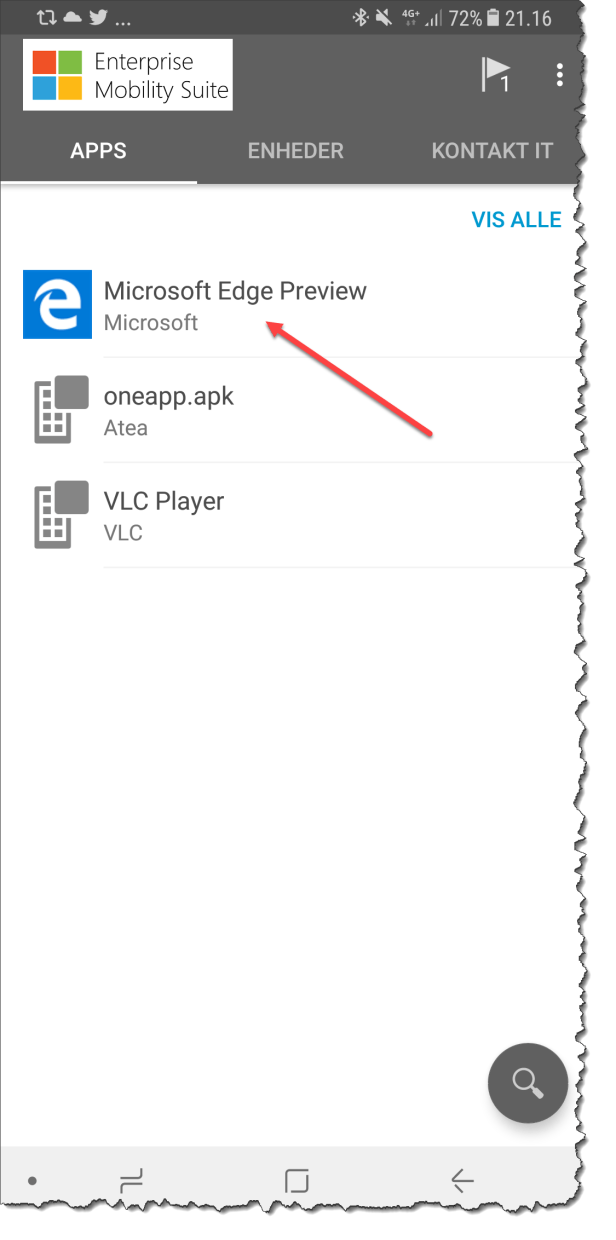 MS_Edge Company Portal.png