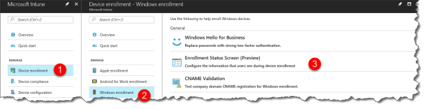 Windows Autopilot Enrollment Status Screen - 01